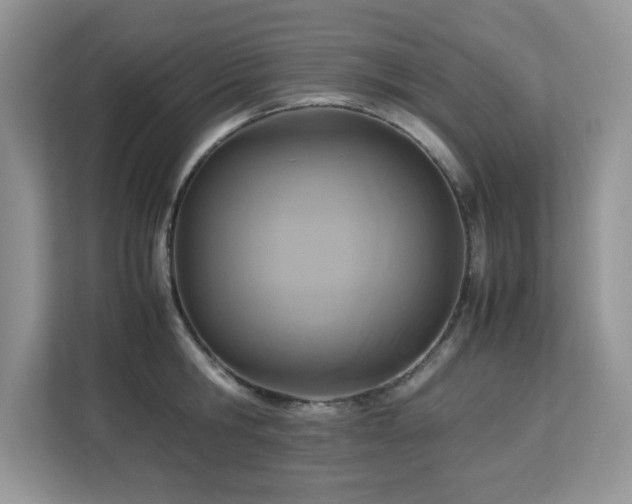 X0000113110806200908281407