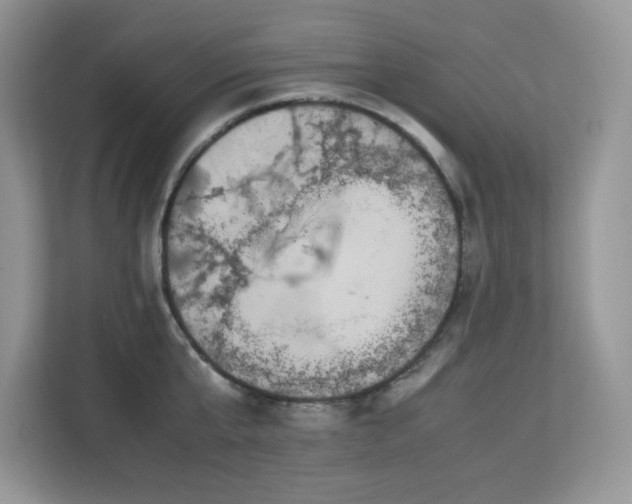 X0000113110807200908281407