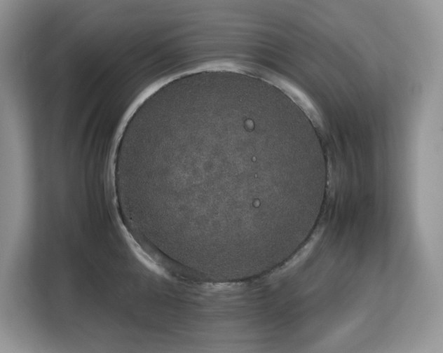 X0000113110808200908281407