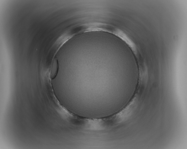 X0000113110809200908281407