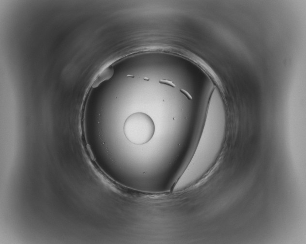 X0000113110810200908281407