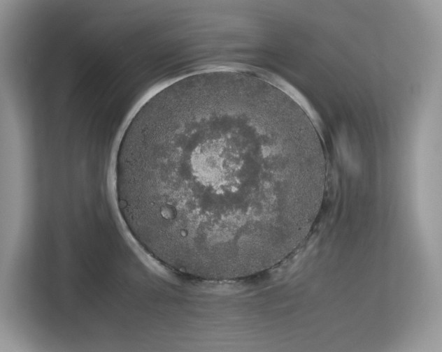X0000113110811200908281407