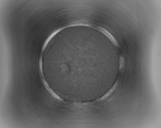 X0000113110812200908281407