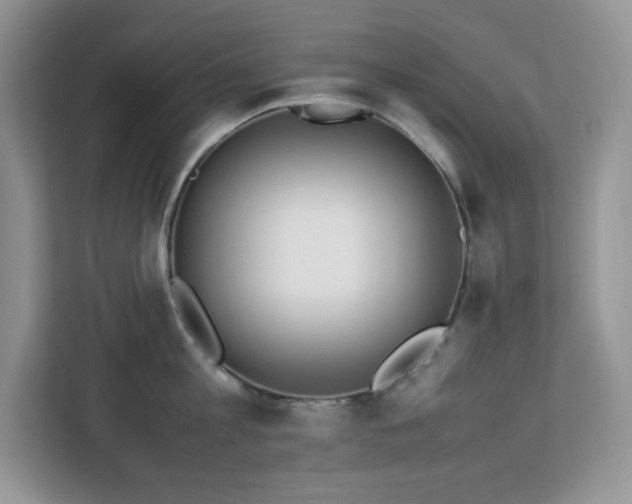 X0000113110813200908281407