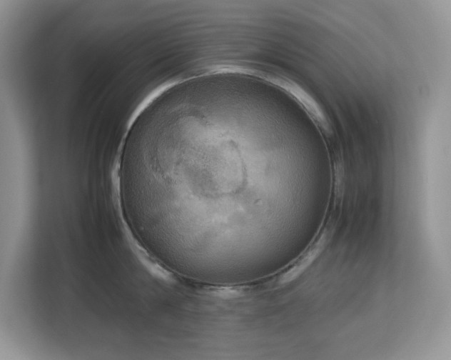 X0000113110814200908281407