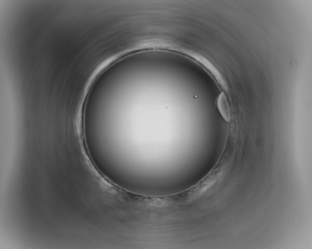 X0000113110815200908281407