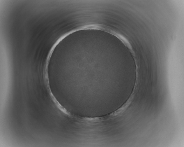X0000113110816200908281407