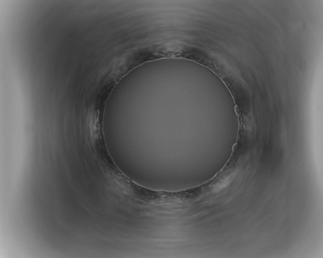 X0000113110818200908281407
