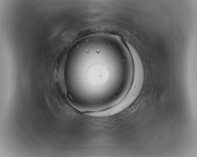 X0000113110820200908281407