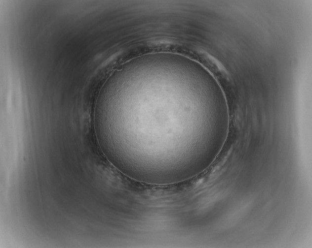 X0000113110821200908281407