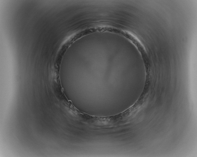 X0000113110823200908281407