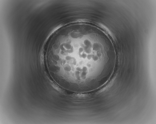 X0000113110827200908281407