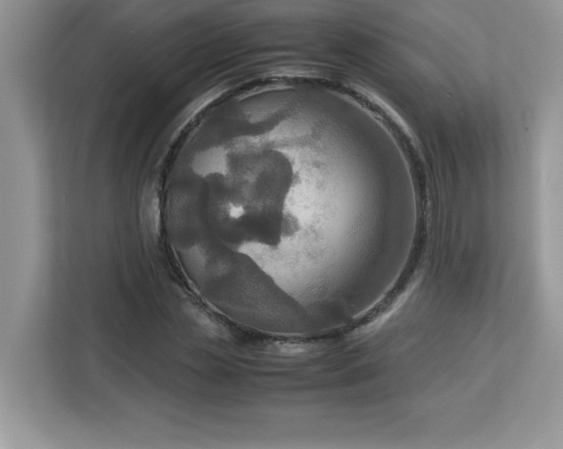X0000113110829200908281407