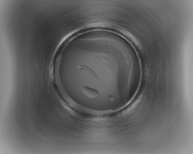 X0000113110830200908281407
