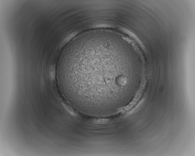 X0000113110833200908281407