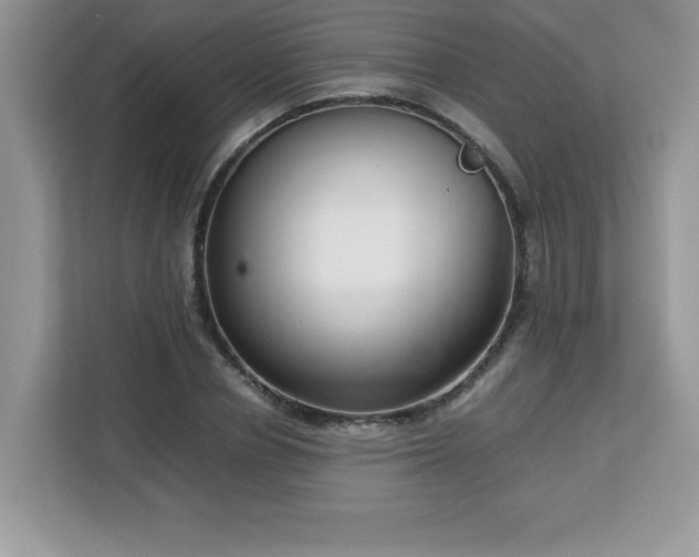 X0000113110834200908281407