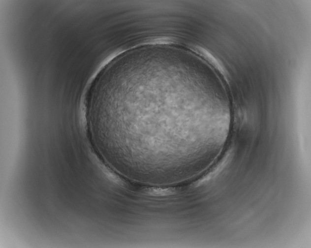 X0000113110835200908281407
