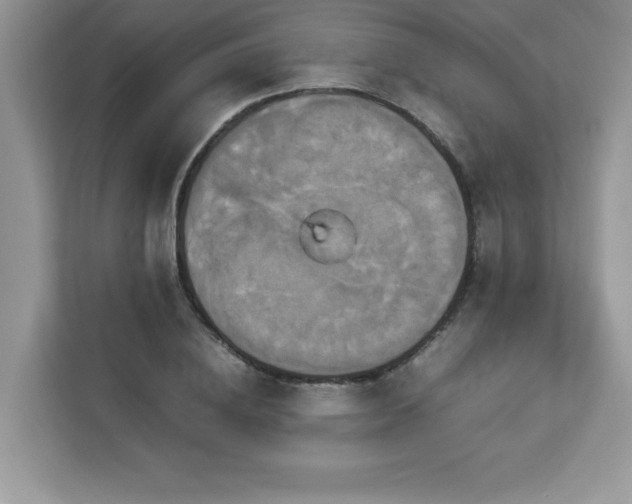 X0000113110836200908281407