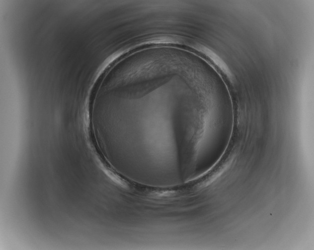 X0000113110837200908281407