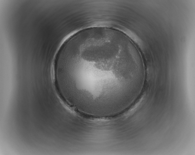 X0000113110838200908281407