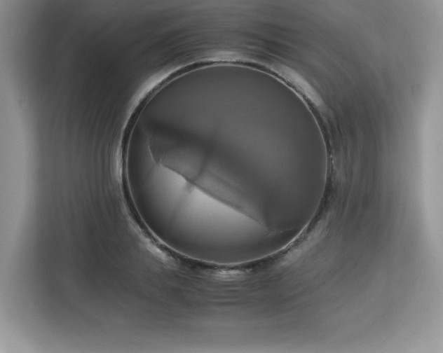 X0000113110839200908281407