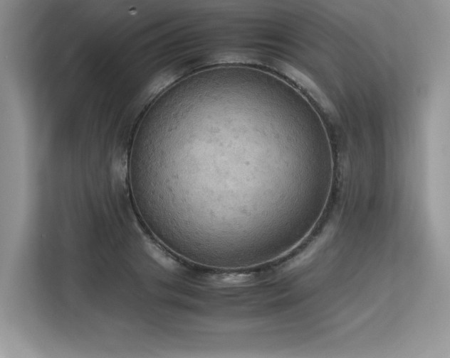 X0000113110841200908281407