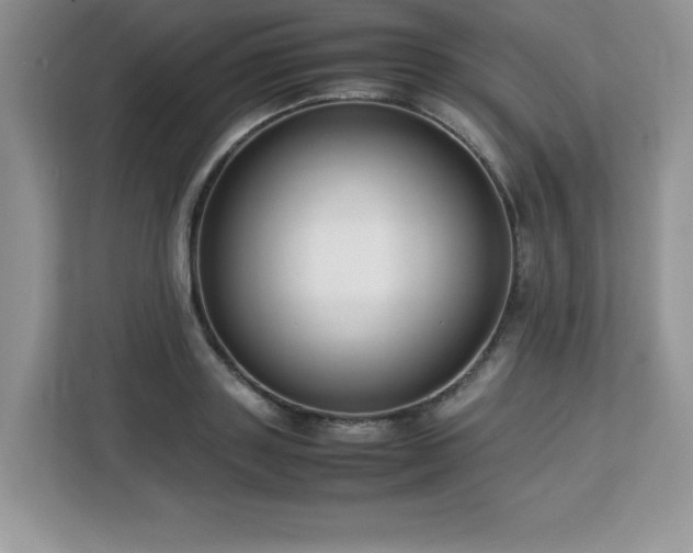 X0000113110843200908281407