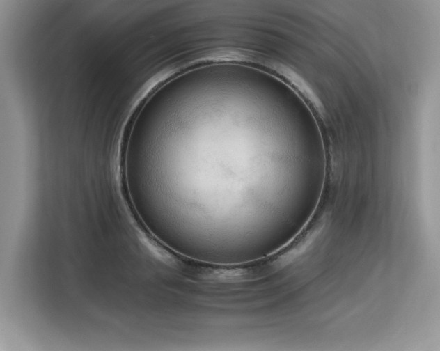 X0000113110845200908281407