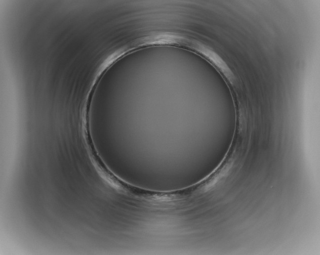 X0000113110850200908281407