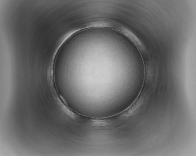 X0000113110852200908281407