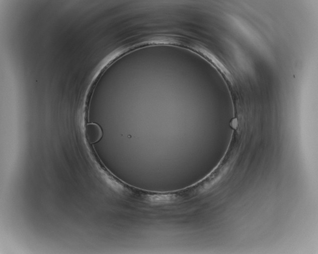 X0000113110853200908281407