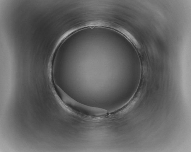 X0000113110854200908281407
