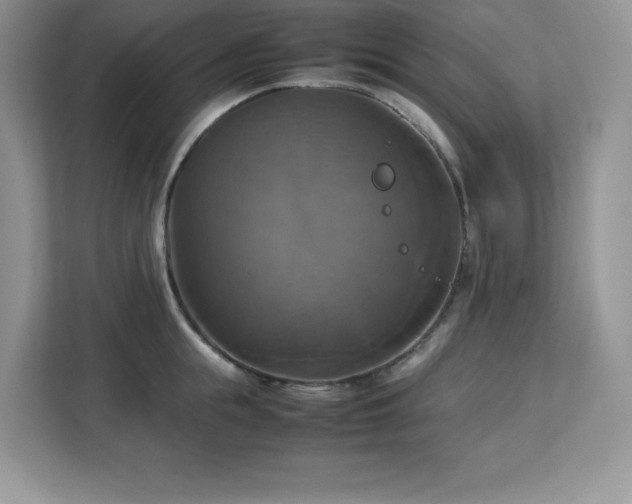 X0000113110855200908281407