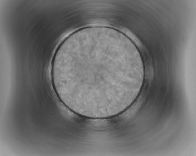 X0000113110856200908281407