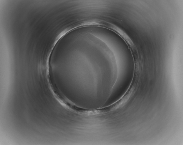 X0000113110858200908281407