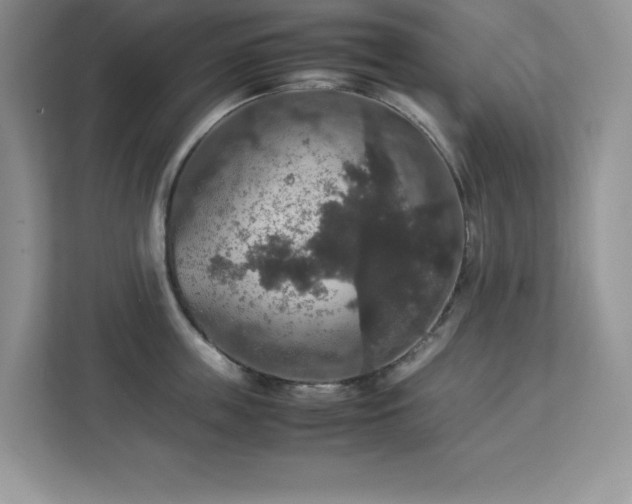 X0000113110859200908281407