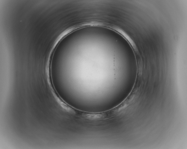 X0000113110861200908281407
