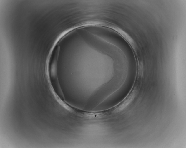 X0000113110862200908281407