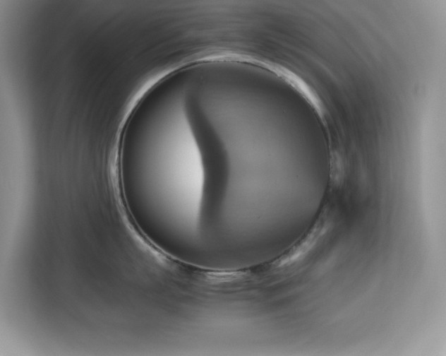 X0000113110863200908281407