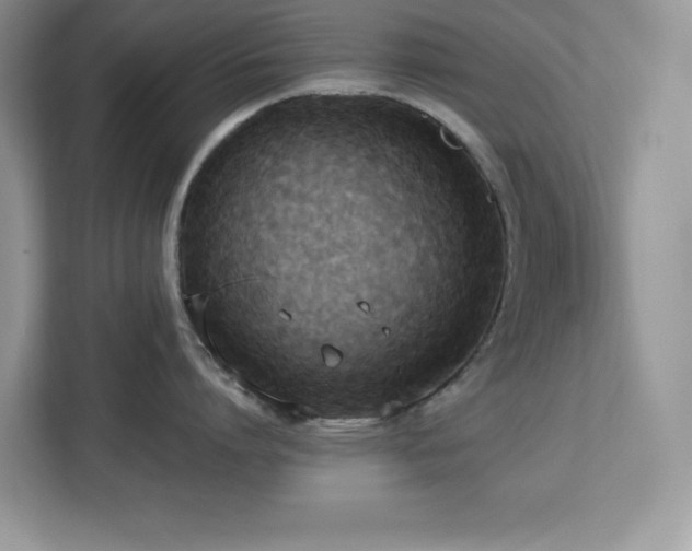 X0000113110864200908281407
