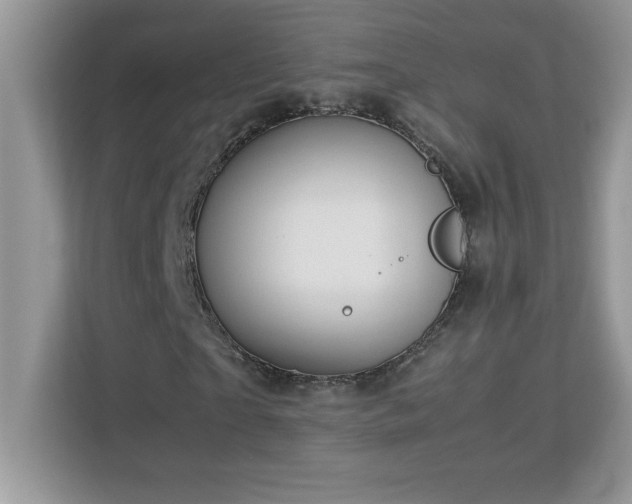 X0000113110865200908281406