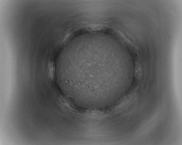 X0000113110866200908281406