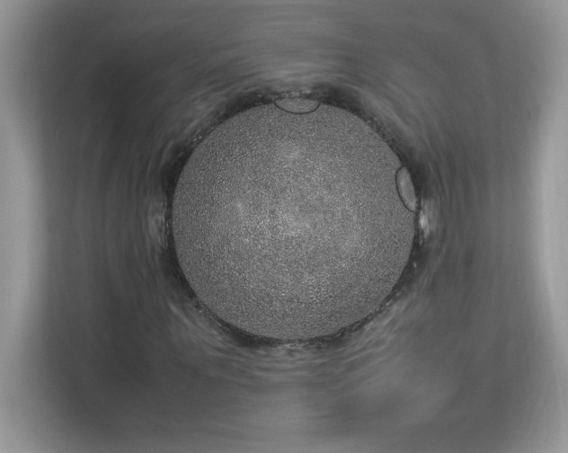 X0000113110867200908281406