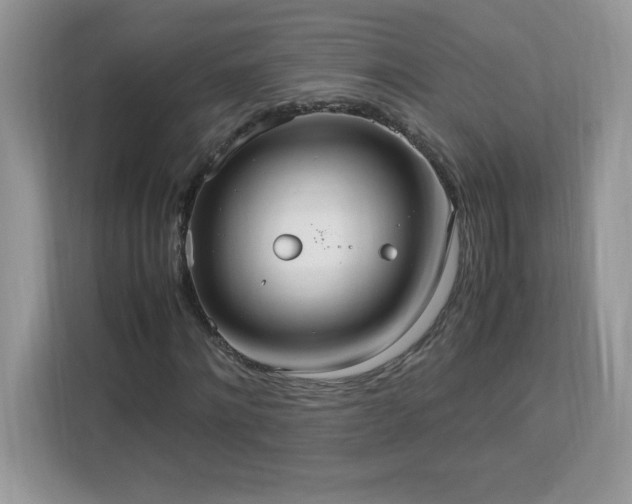 X0000113110868200908281406