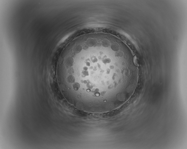 X0000113110871200908281406