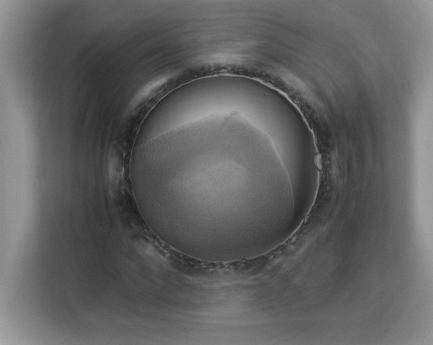 X0000113110872200908281406