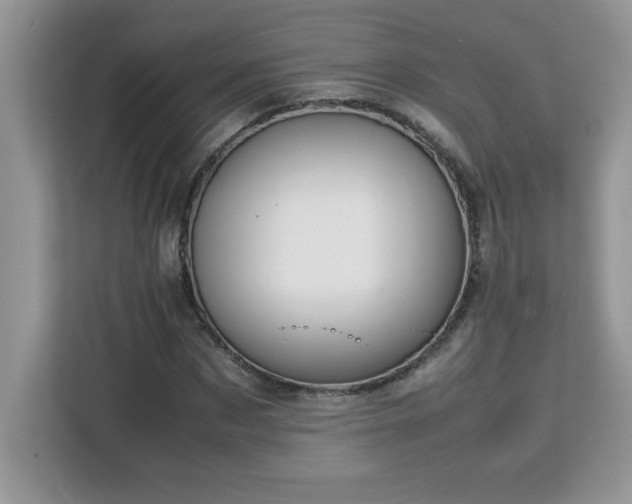 X0000113110873200908281406