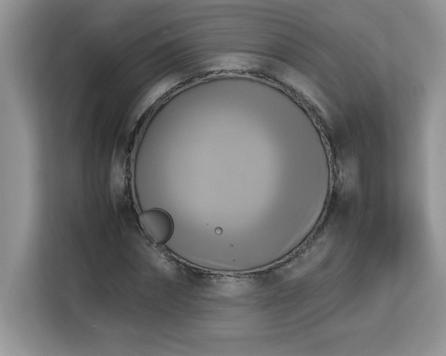 X0000113110874200908281406