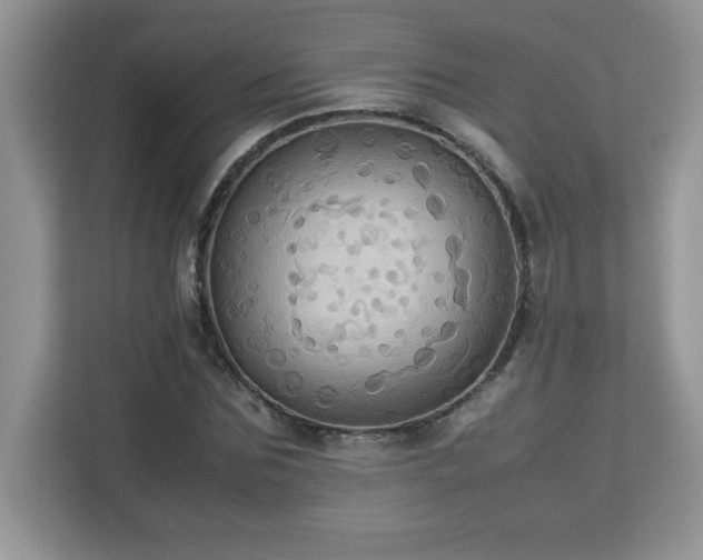 X0000113110875200908281406