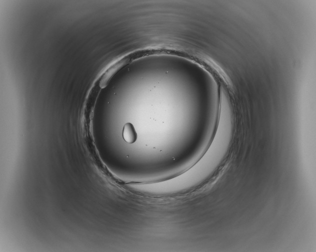 X0000113110876200908281406